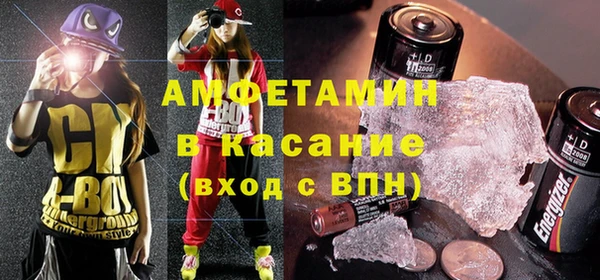прущие грибы Белокуриха