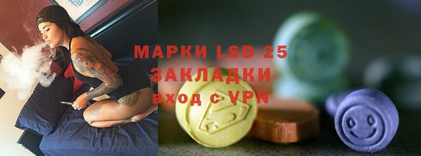 индика Белоозёрский
