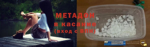 прущие грибы Белокуриха