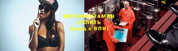 прущие грибы Белокуриха