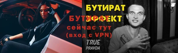 индика Белоозёрский