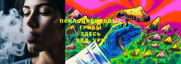 СК Строитель