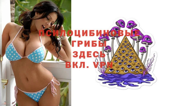 СК Строитель