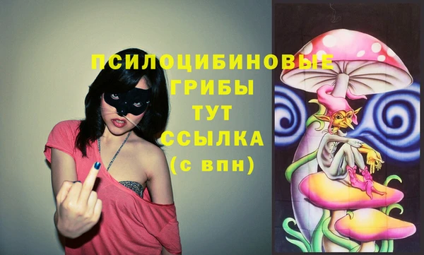 СК Строитель