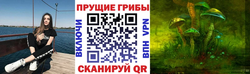 как найти наркотики  Советск  Галлюциногенные грибы ЛСД 